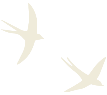 The FACTORY Love Birds